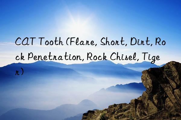 CAT Tooth (Flare, Short, Dirt, Rock Penetration, Rock Chisel, Tiger)