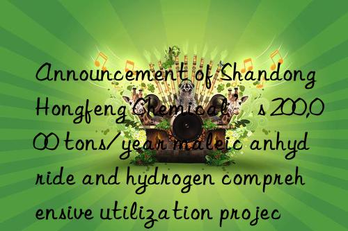 Announcement of Shandong Hongfeng Chemical’s 200,000 tons/year maleic anhydride and hydrogen comprehensive utilization project