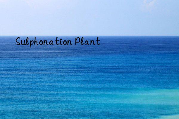 Sulphonation Plant