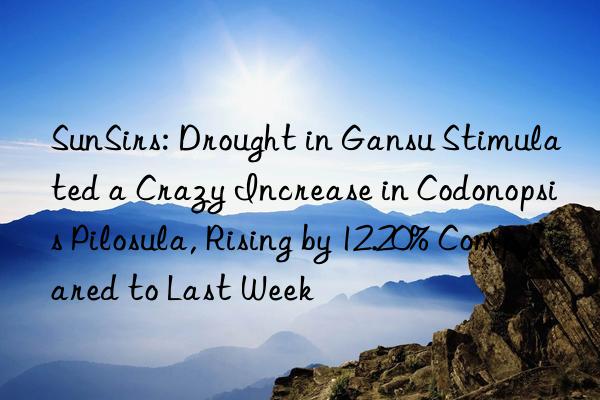 SunSirs: Drought in Gansu Stimulated a Crazy Increase in Codonopsis Pilosula, Rising by 12.20% Compared to Last Week