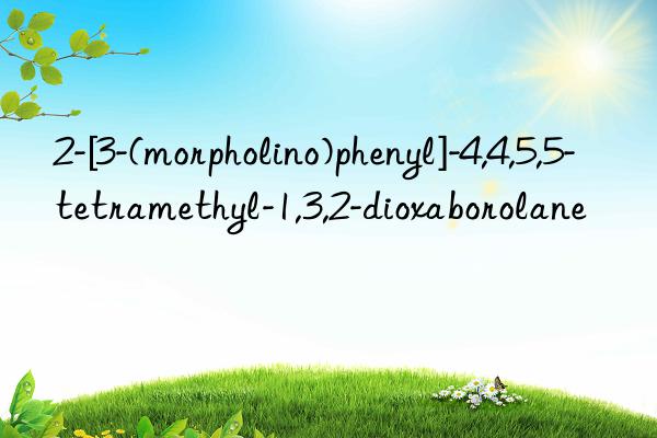 2-[3-(morpholino)phenyl]-4,4,5,5-tetramethyl-1,3,2-dioxaborolane