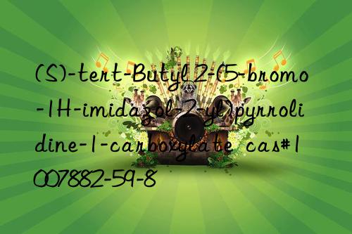 (S)-tert-Butyl 2-(5-bromo-1H-imidazol-2-yl)pyrrolidine-1-carboxylate  cas#1007882-59-8