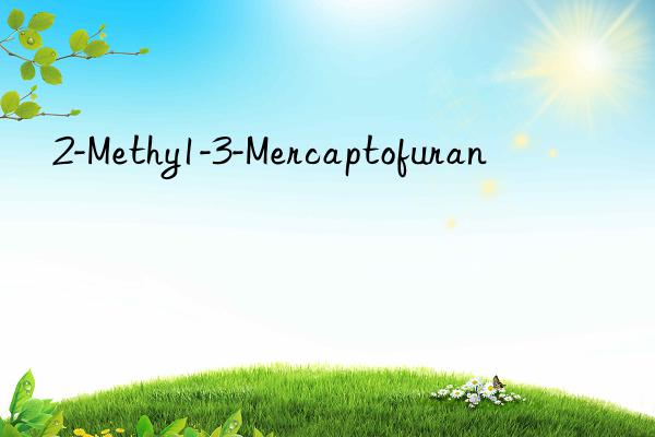 2-Methy1-3-Mercaptofuran