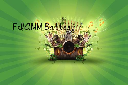 FIAMM Battery