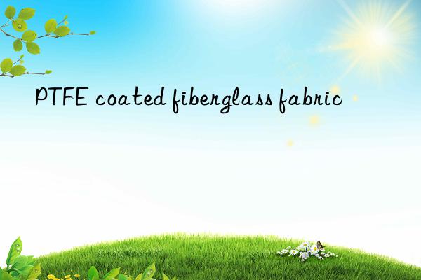 PTFE coated fiberglass fabric