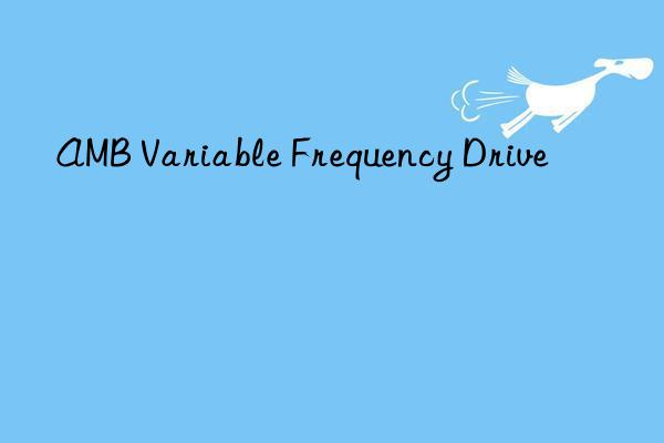 AMB Variable Frequency Drive