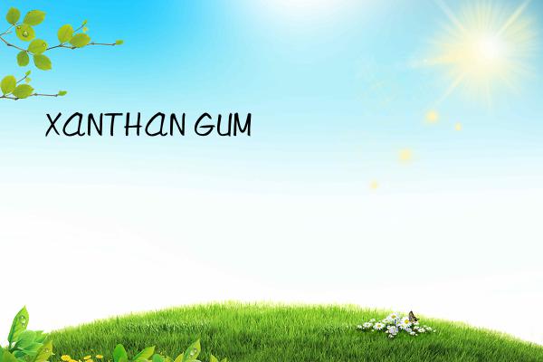 XANTHAN GUM