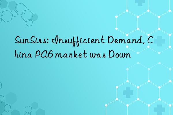 SunSirs: Insufficient Demand, China PA6 market was Down