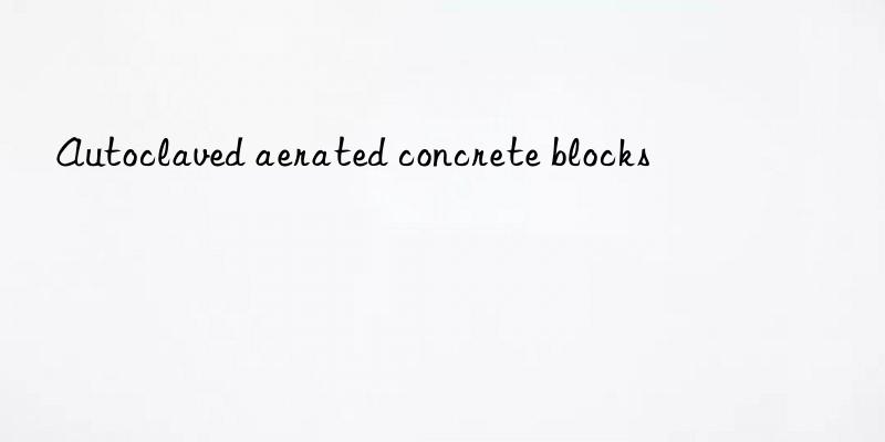 Autoclaved aerated concrete blocks