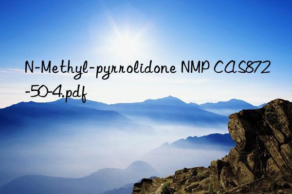 N-Methyl-pyrrolidone NMP CAS872-50-4.pdf