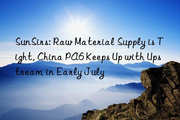 SunSirs: Raw Material Supply is Tight, China PA6 Keeps Up with Upstream in Early July