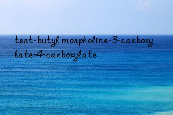 tert-butyl morpholine-3-carboxylate-4-carboxylate