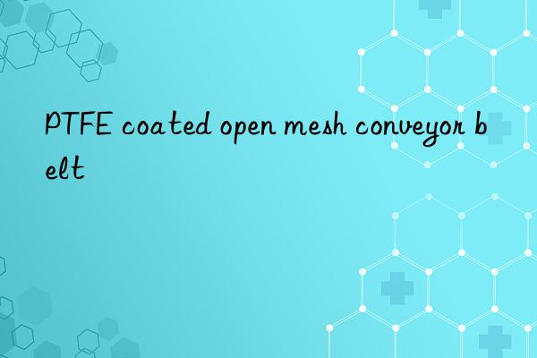 PTFE coated open mesh conveyor belt