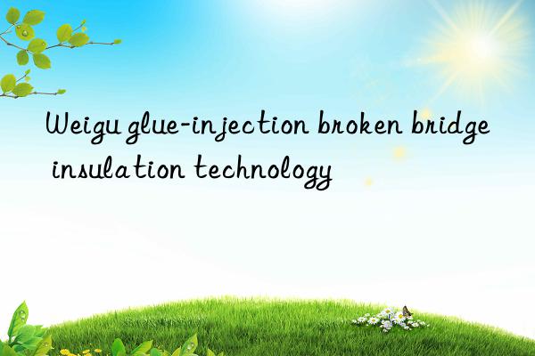 Weigu glue-injection broken bridge insulation technology