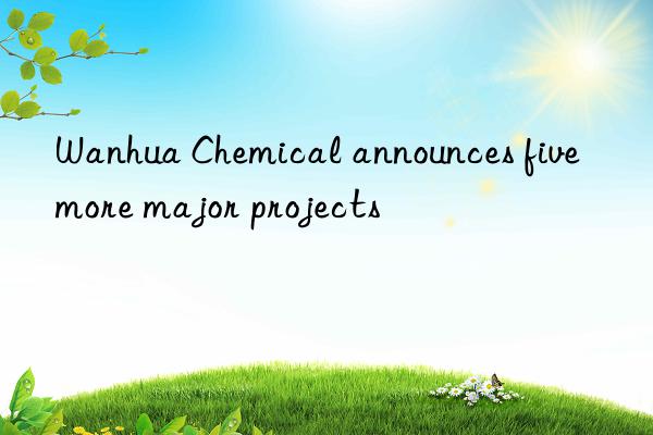 Wanhua Chemical announces five more major projects