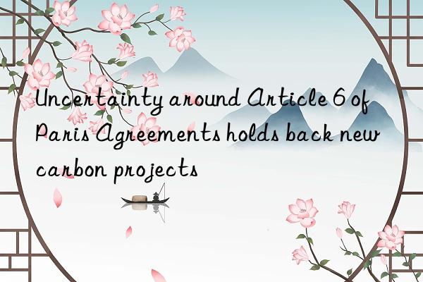 Uncertainty around Article 6 of Paris Agreements holds back new carbon projects