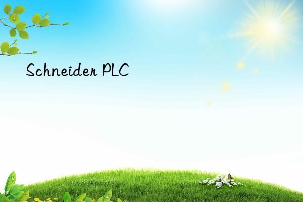 Schneider PLC