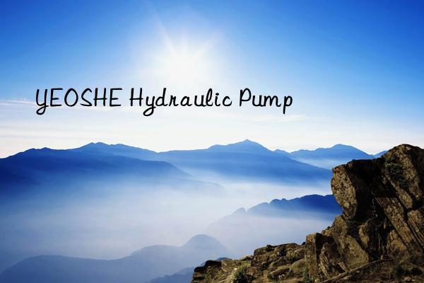 YEOSHE Hydraulic Pump