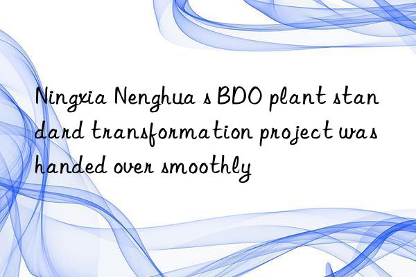 Ningxia Nenghua s BDO plant standard transformation project was handed over smoothly