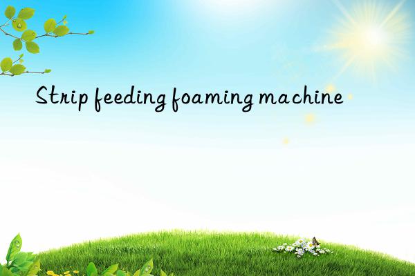 Strip feeding foaming machine