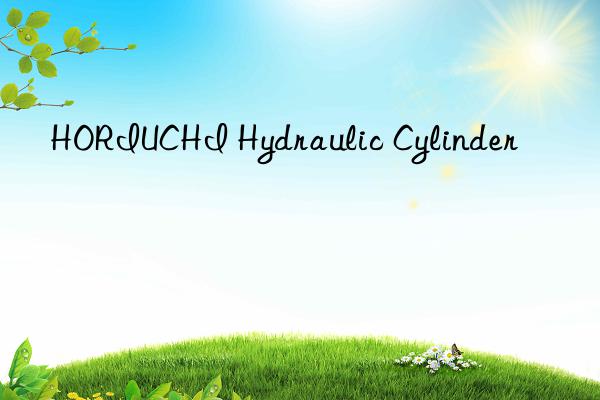 HORIUCHI Hydraulic Cylinder