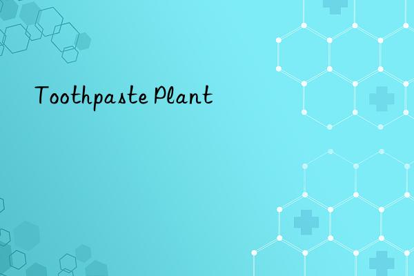 Toothpaste Plant