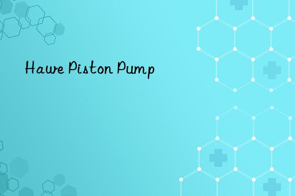 Hawe Piston Pump