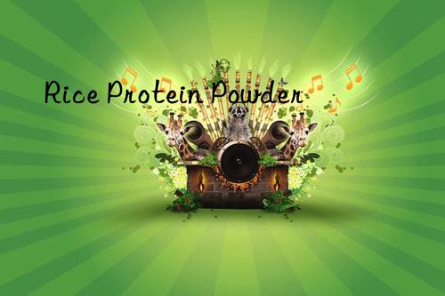 Rice Protein Powder