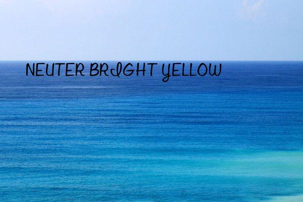 NEUTER BRIGHT YELLOW