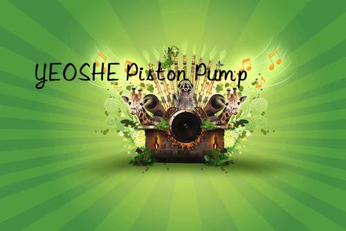 YEOSHE Piston Pump