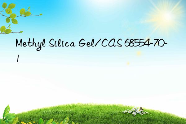 Methyl Silica Gel/CAS 68554-70-1