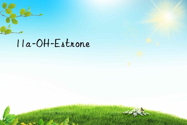 11a-OH-Estrone