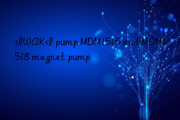 IWAKI pump MDM1516 and MDM1518 magnet pump