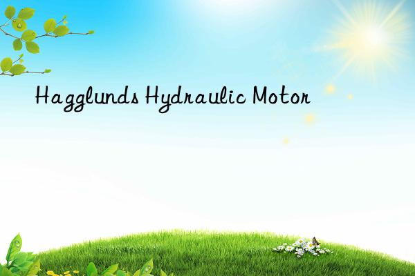 Hagglunds Hydraulic Motor