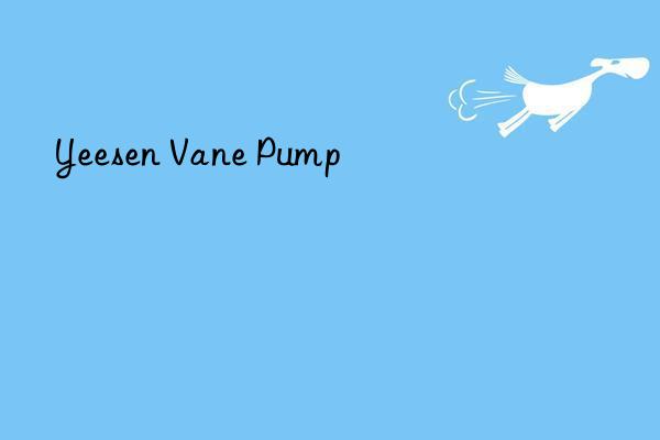 Yeesen Vane Pump