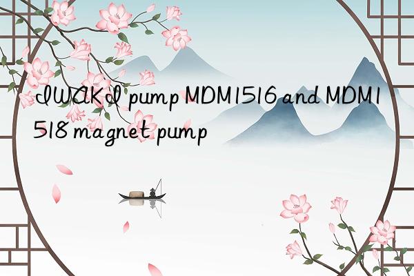 IWAKI pump MDM1516 and MDM1518 magnet pump