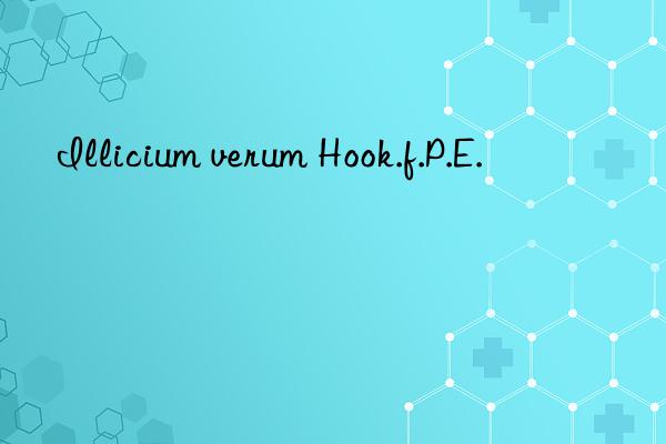 Illicium verum Hook.f.P.E.