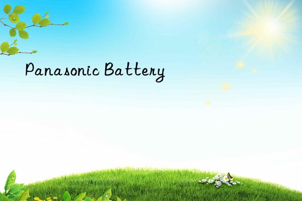 Panasonic Battery