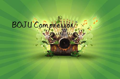 BOJU Compressor