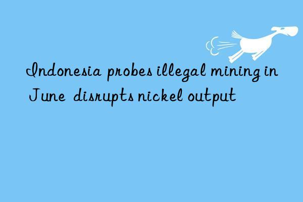 Indonesia probes illegal mining in June  disrupts nickel output