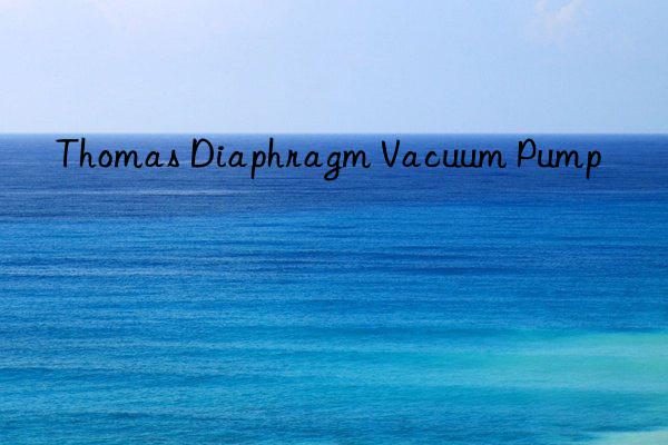 Thomas Diaphragm Vacuum Pump