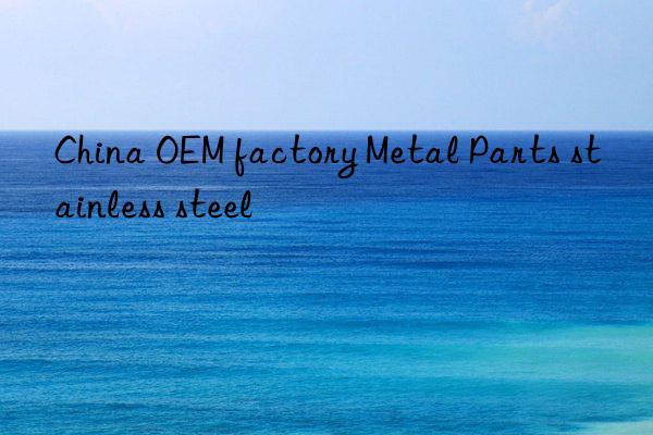 China OEM factory Metal Parts stainless steel