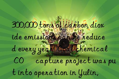 300,000 tons of carbon dioxide emissions can be reduced every year! Coal chemical CO₂ capture project was put into operation in Yulin, Shaanxi