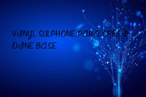 VINYL SULPHONE PARA CRESIDINE BASE