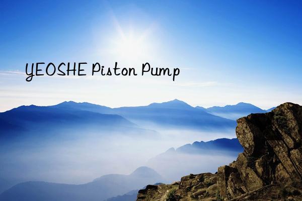 YEOSHE Piston Pump