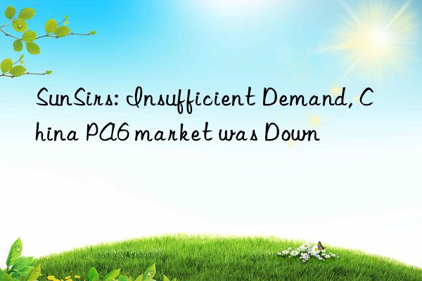 SunSirs: Insufficient Demand, China PA6 market was Down