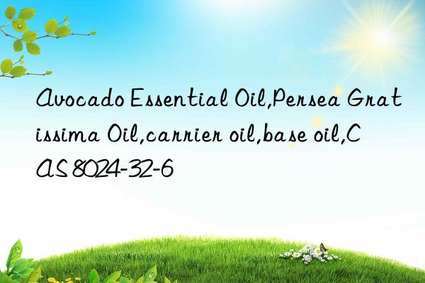 Avocado Essential Oil,Persea Gratissima Oil,carrier oil,base oil,CAS 8024-32-6