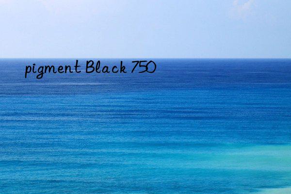 pigment Black 750