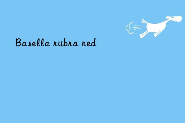 Basella rubra red