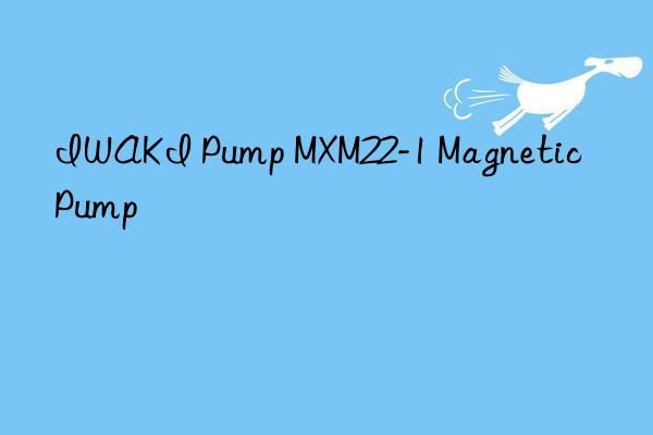 IWAKI Pump MXM22-1 Magnetic Pump